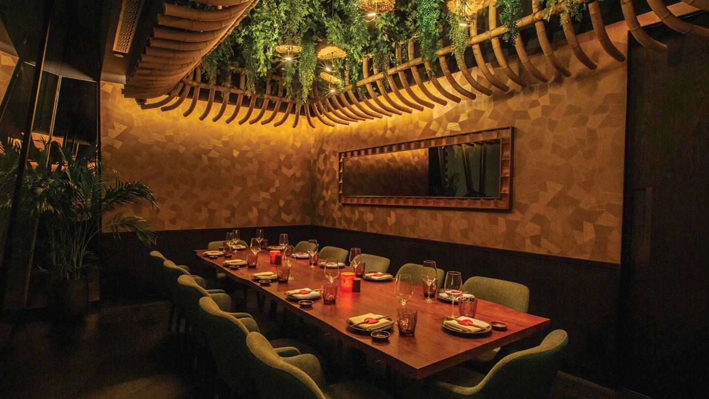 Sushi Samba, project view 5