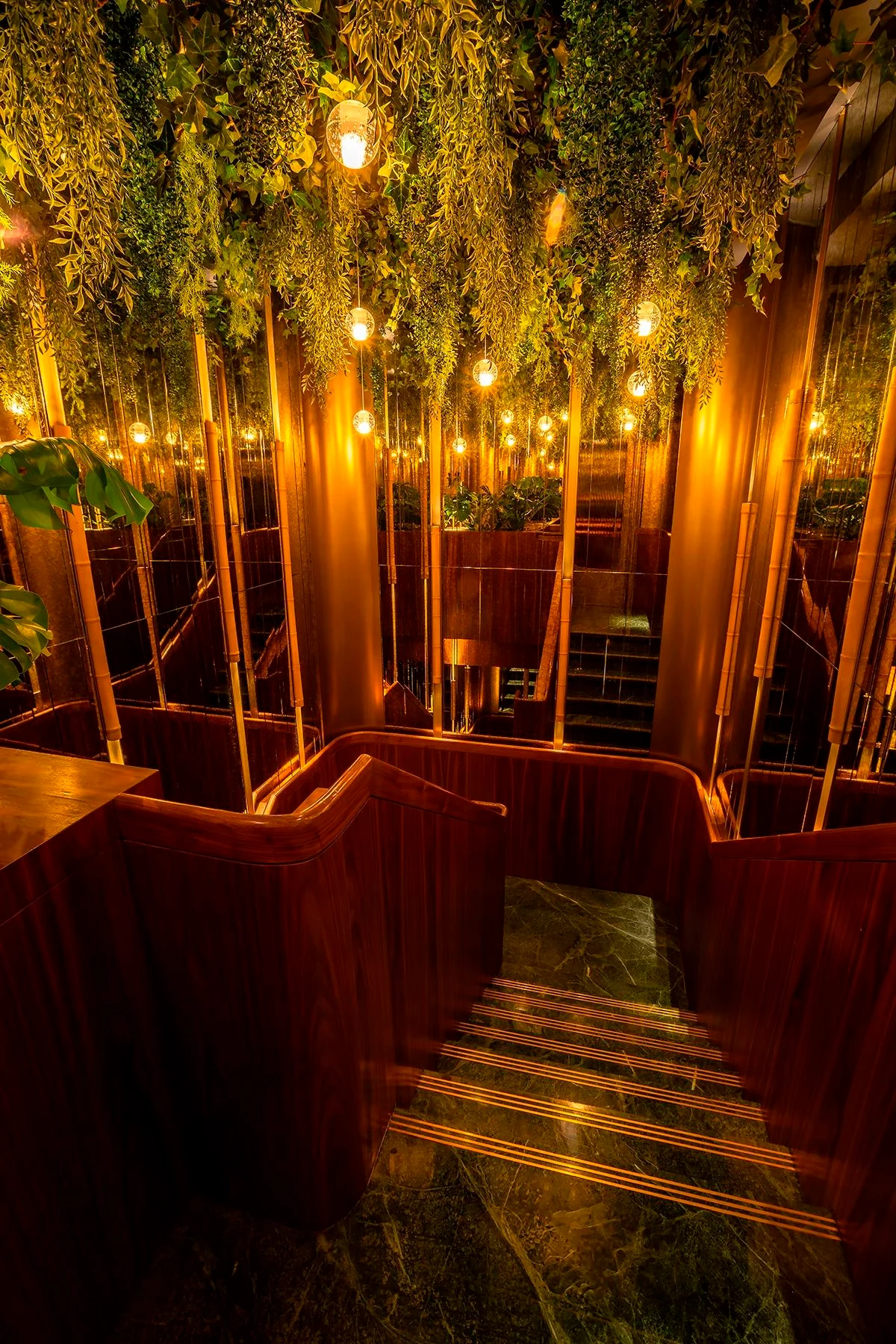 Sushi Samba, project view 6